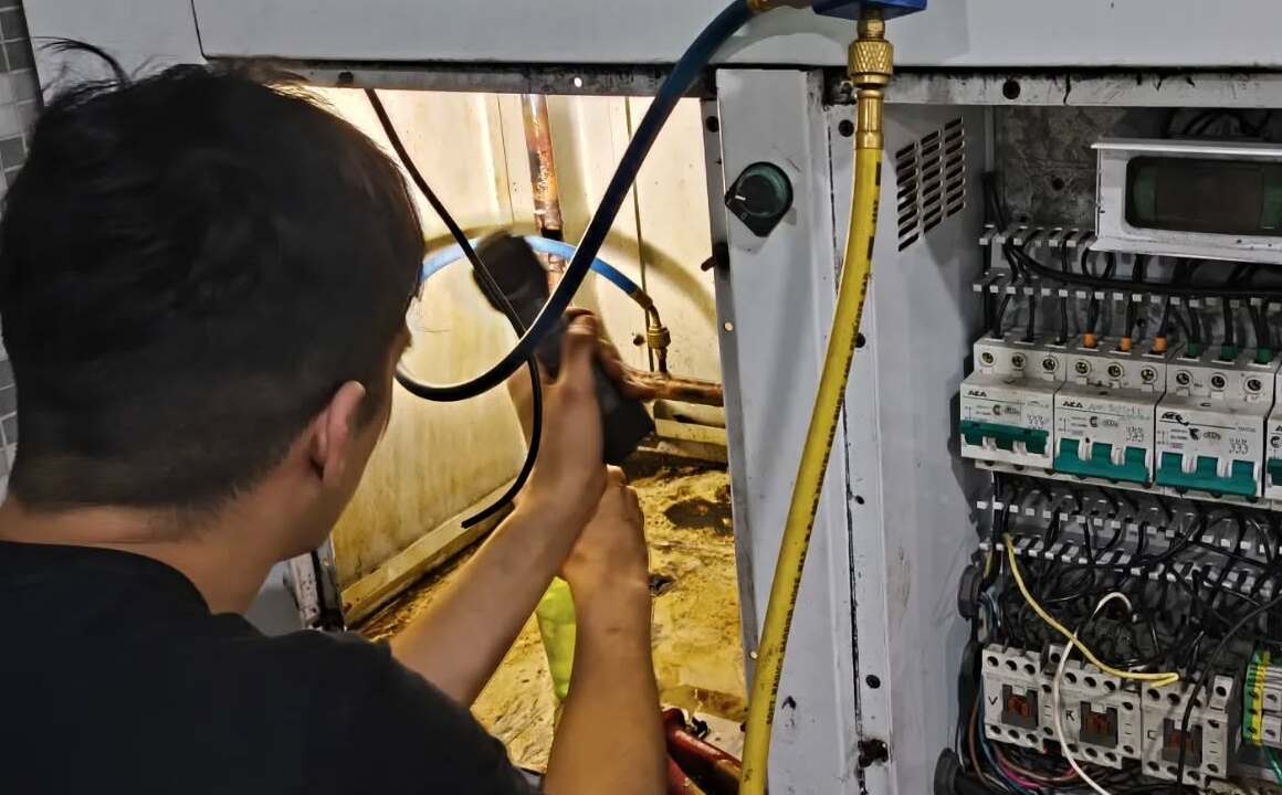 Trabajo 4